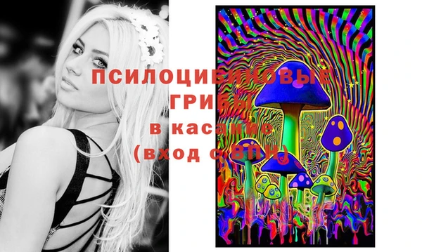 наркотики Абаза