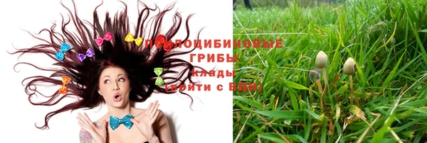 мескалин Нефтегорск