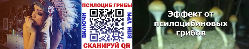 где купить наркоту  Владимир  Псилоцибиновые грибы MAGIC MUSHROOMS 
